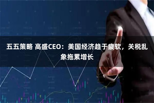 五五策略 高盛CEO：美国经济趋于疲软，关税乱象拖累增长