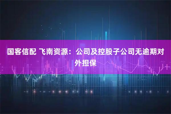 国客信配 飞南资源：公司及控股子公司无逾期对外担保