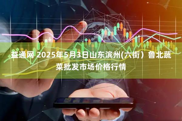 益通网 2025年5月3日山东滨州(六街）鲁北蔬菜批发市场价格行情