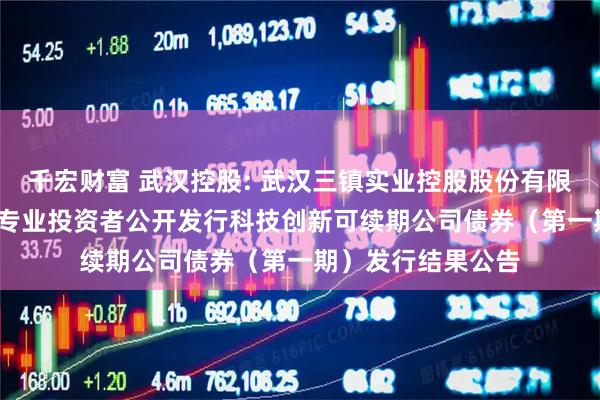 千宏财富 武汉控股: 武汉三镇实业控股股份有限公司2025年面向专业投资者公开发行科技创新可续期公司债券（第一期）发行结果公告