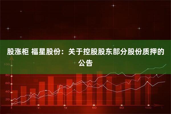 股涨柜 福星股份：关于控股股东部分股份质押的公告