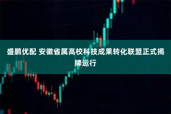 盛鹏优配 安徽省属高校科技成果转化联盟正式揭牌运行