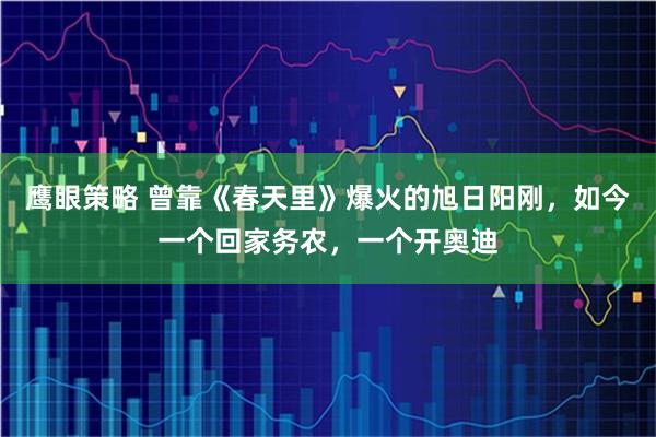 鹰眼策略 曾靠《春天里》爆火的旭日阳刚，如今一个回家务农，一个开奥迪
